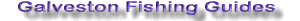 Click Here to Vist The Galveston Fishing Guide Area.